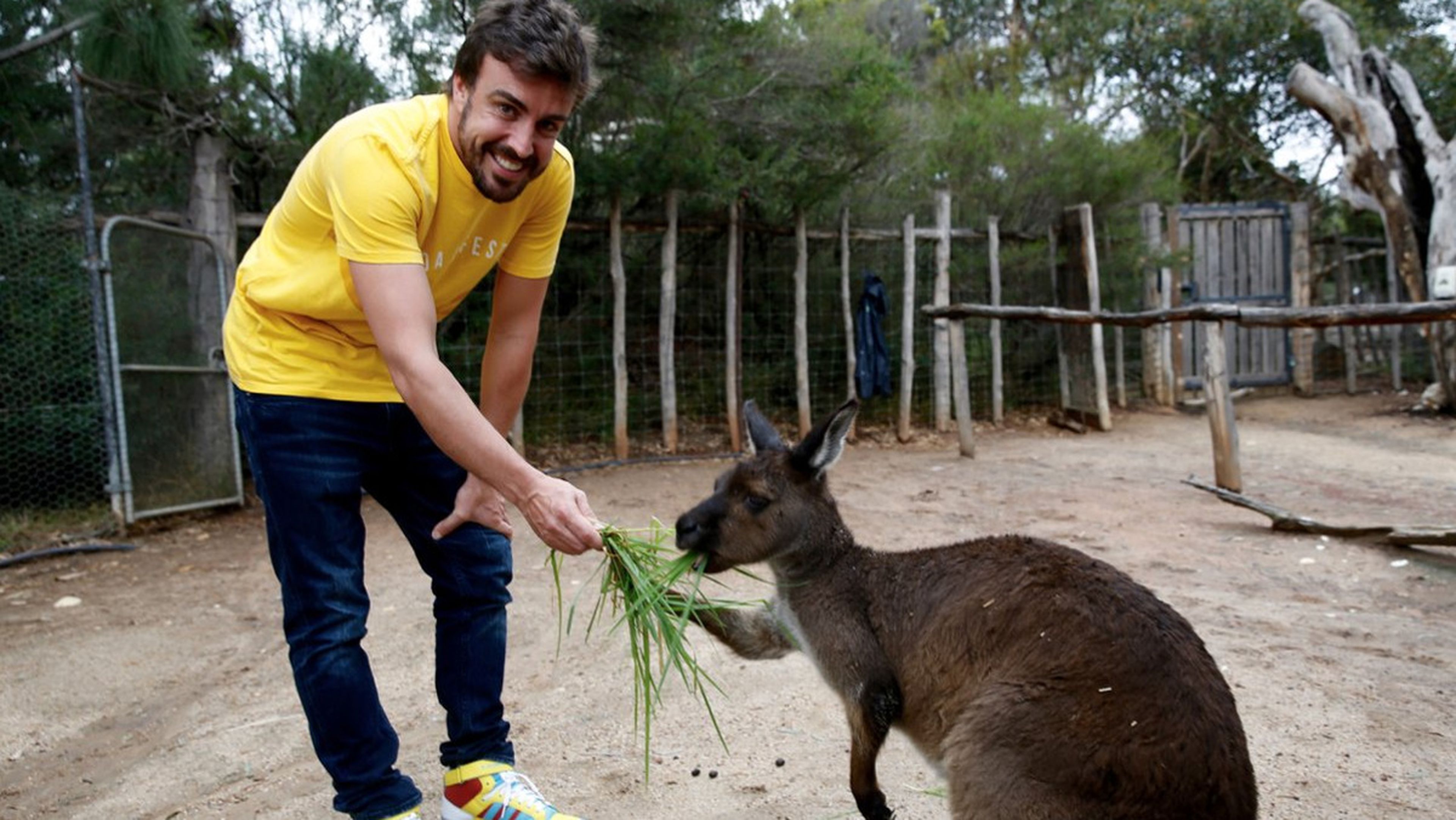 Fernando Alonso y un canguro del Zoo de Melbourne