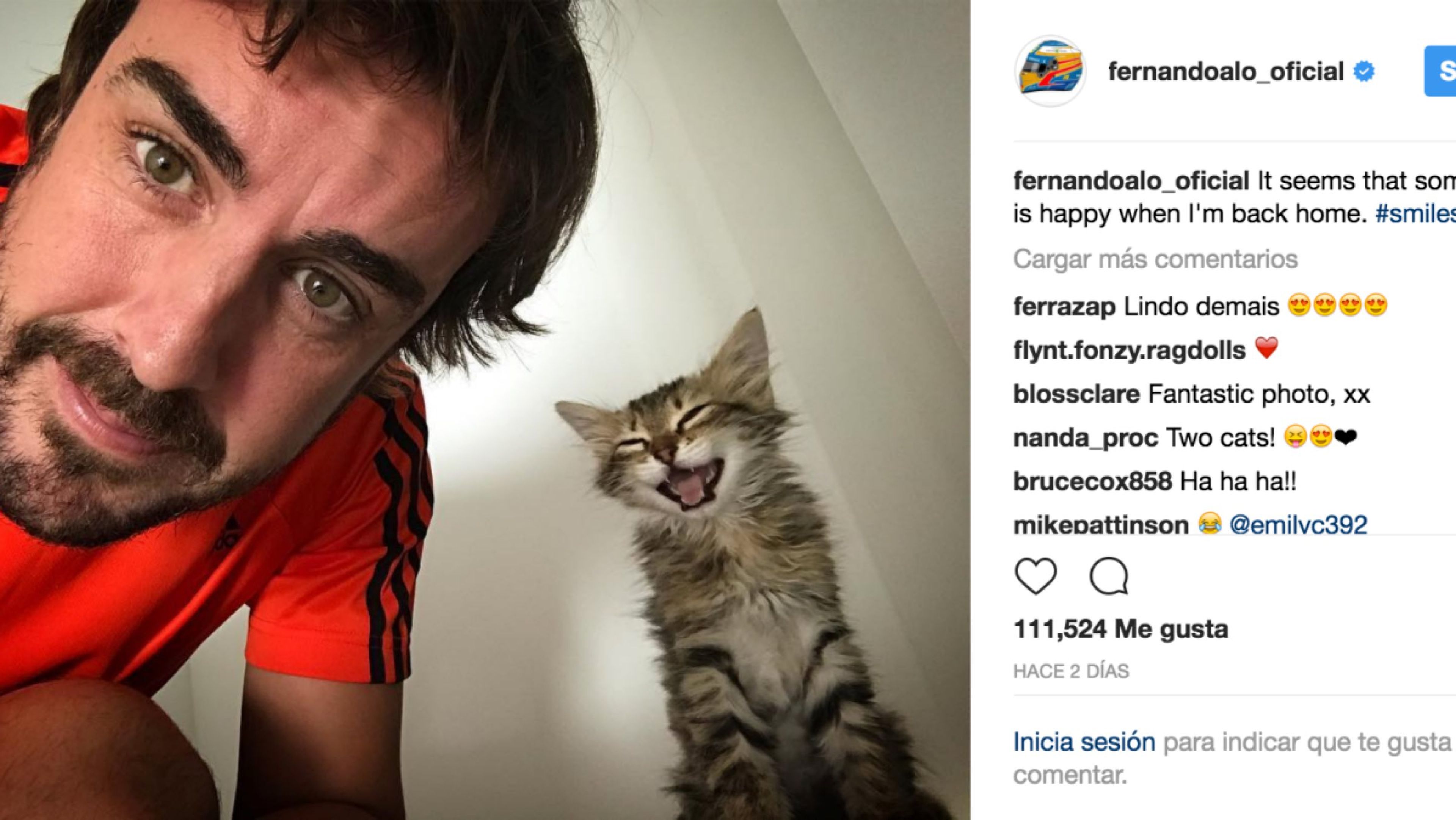 El gato de Fernando Alonso