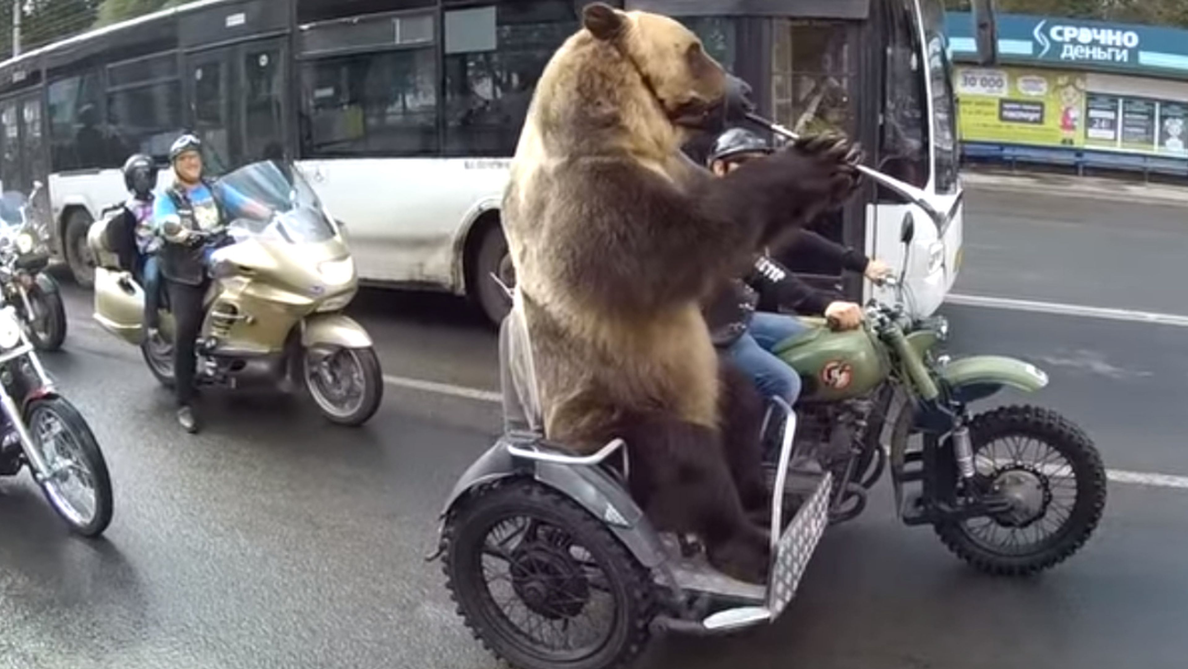 Cómo hacer el oso en medio del tráfico