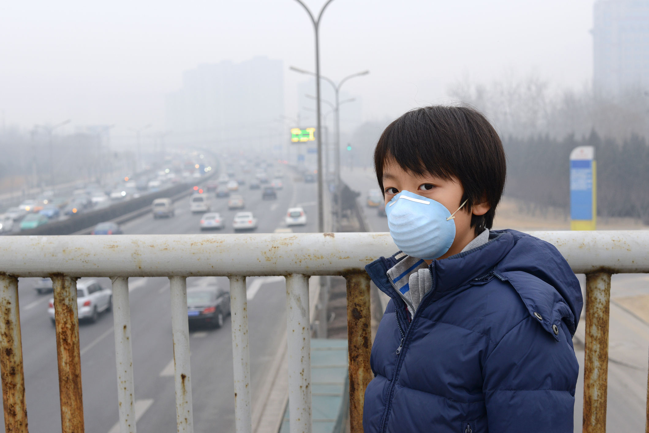 Contaminación Contaminación