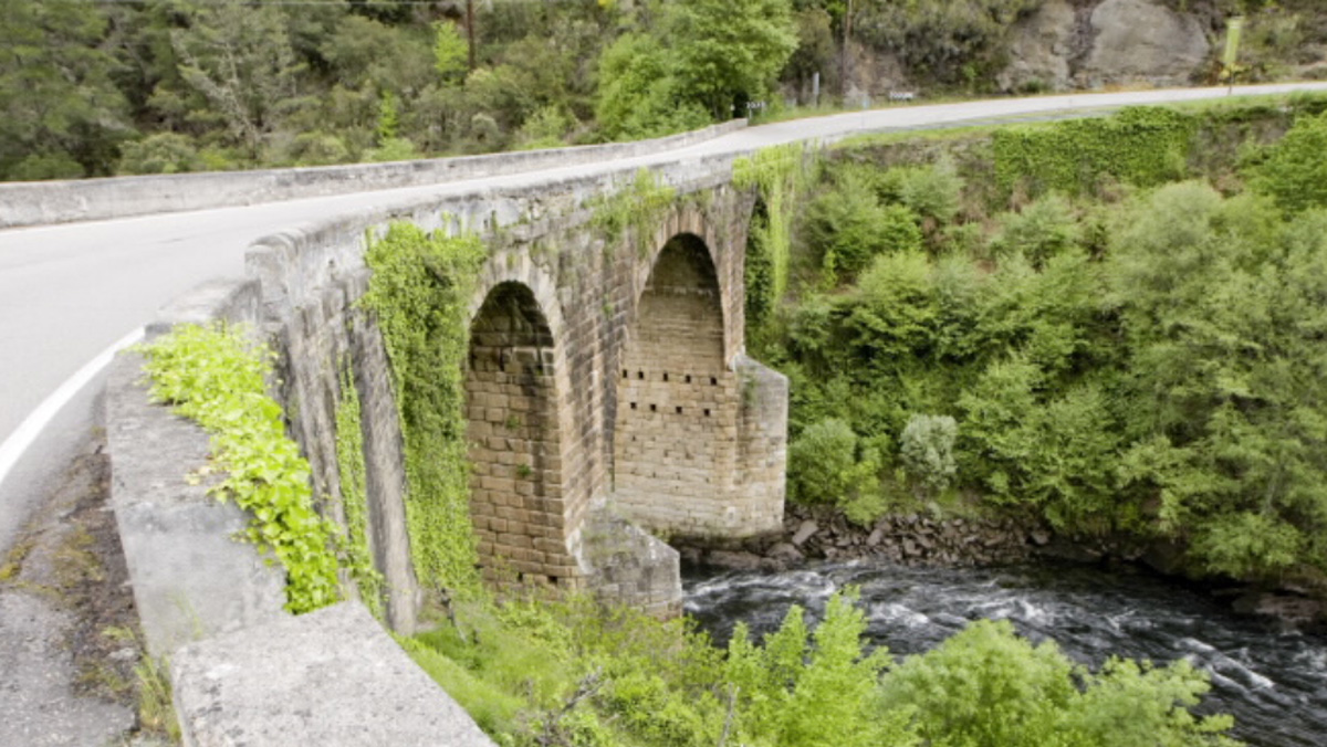 Puente Bibey Puente Bibey