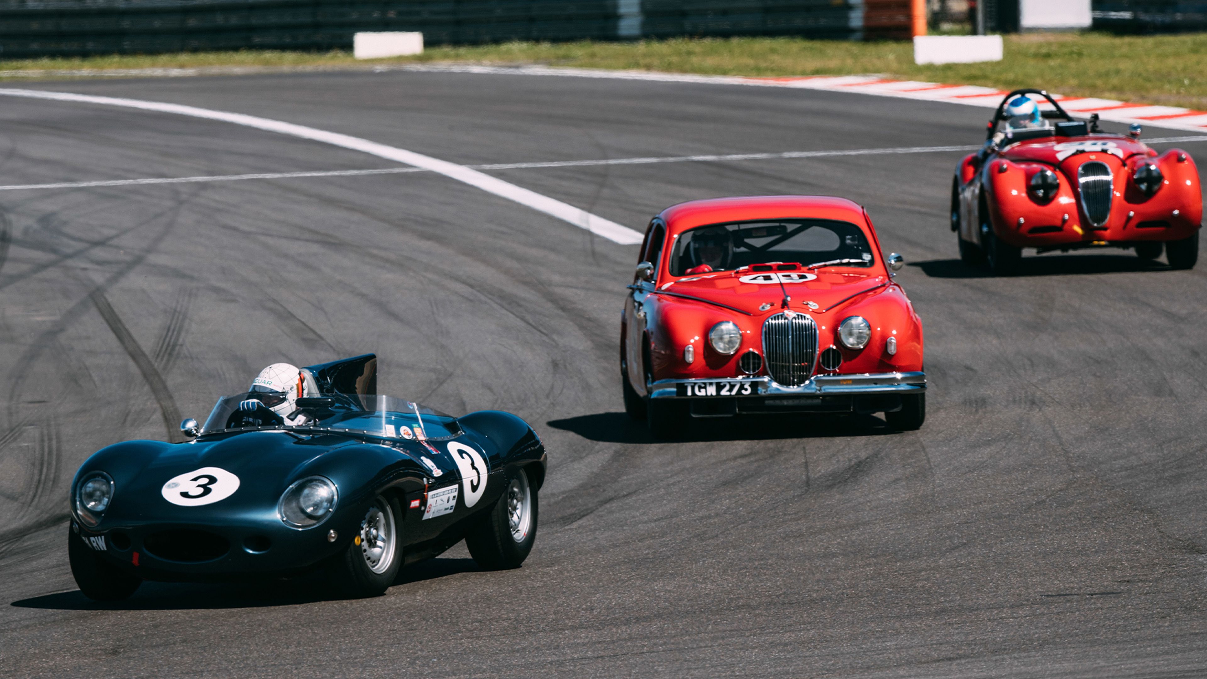 Jaguar D-Type (izquierda) seguido de otros clásicos de la marca.