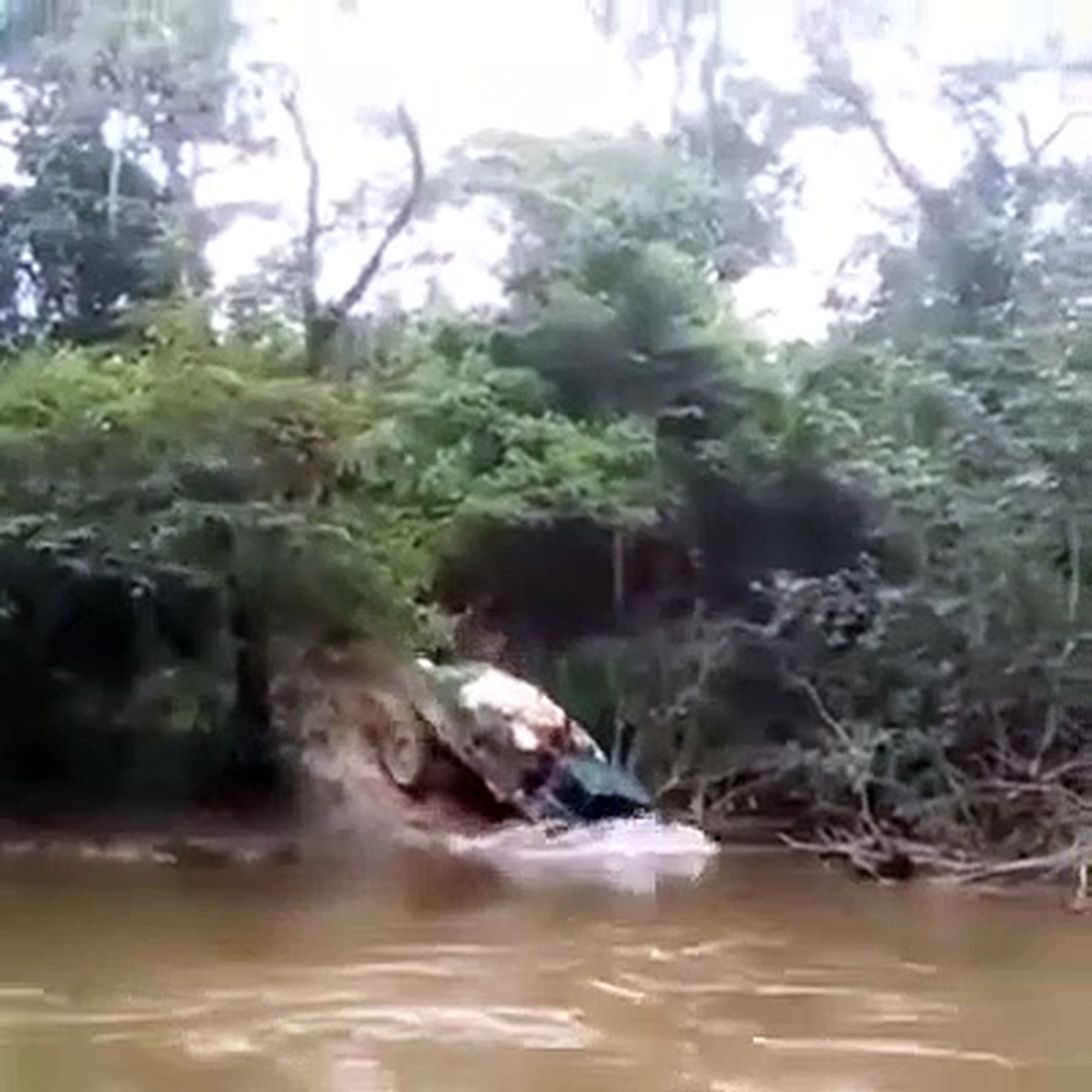 VÍDEO: este camión casi desaparece al intentar vadear este río (TG)