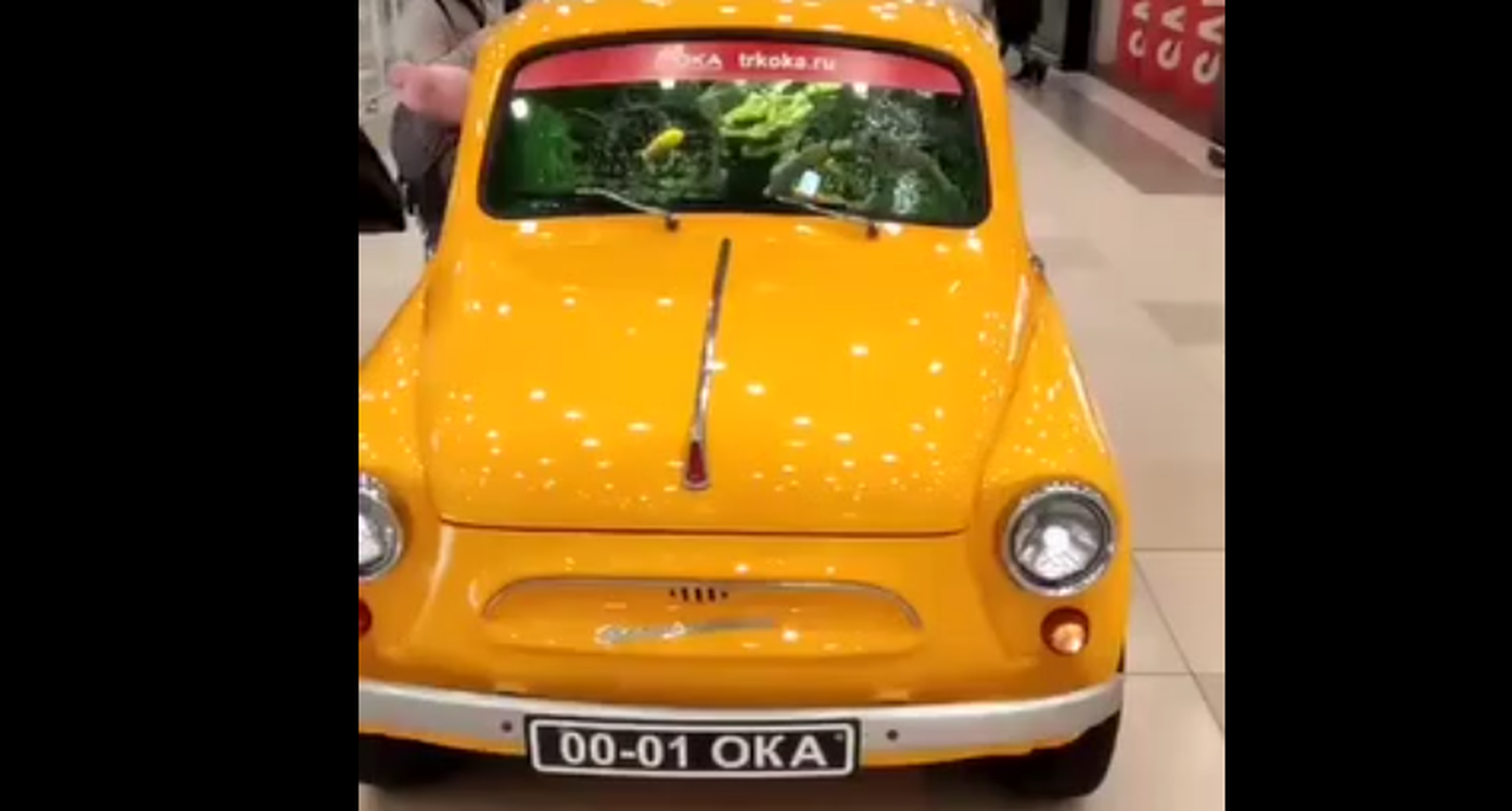 VÍDEO: Un FIAT 500 clásico, convertido en PECERA en un centro comercial ruso