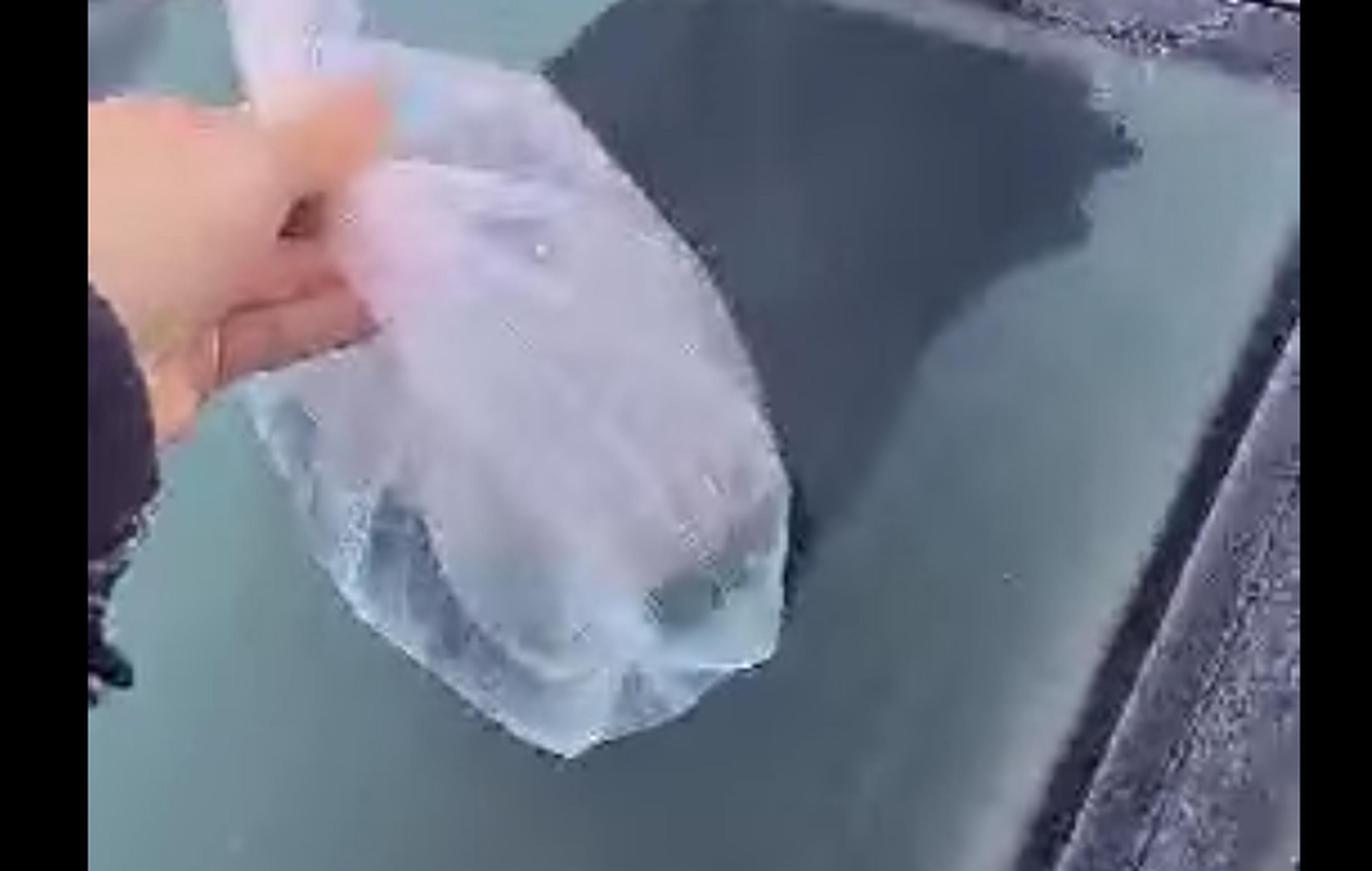 VÍDEO: La forma más sencilla de quitar el hielo del parabrisas que se ha hecho viral