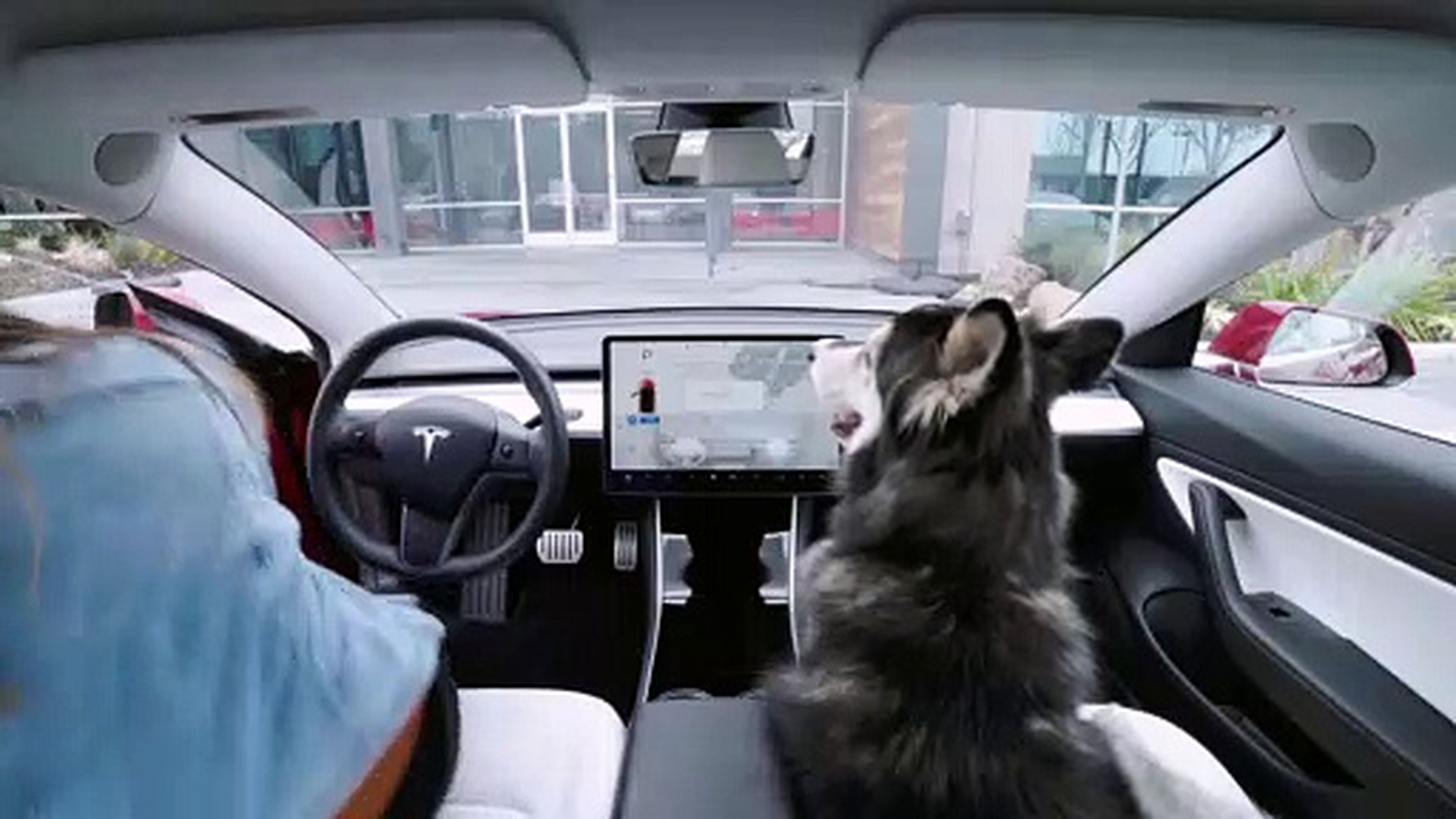 Vídeo: así funciona el 'modo Perro' del Tesla Model 3 [TG]