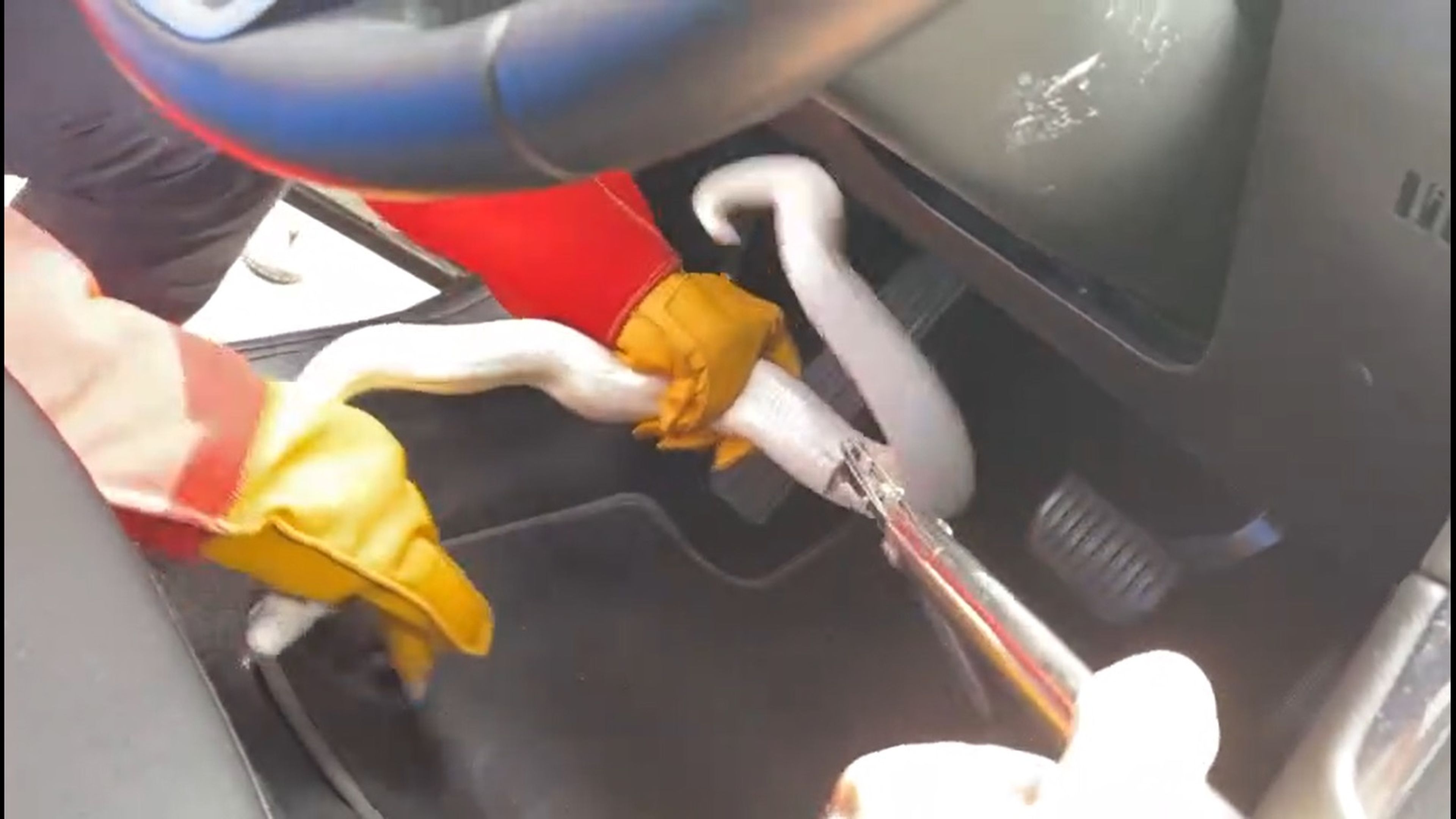 VÍDEO: La Policía de Madrid halla una pitón albina en el motor de un coche de Cabify