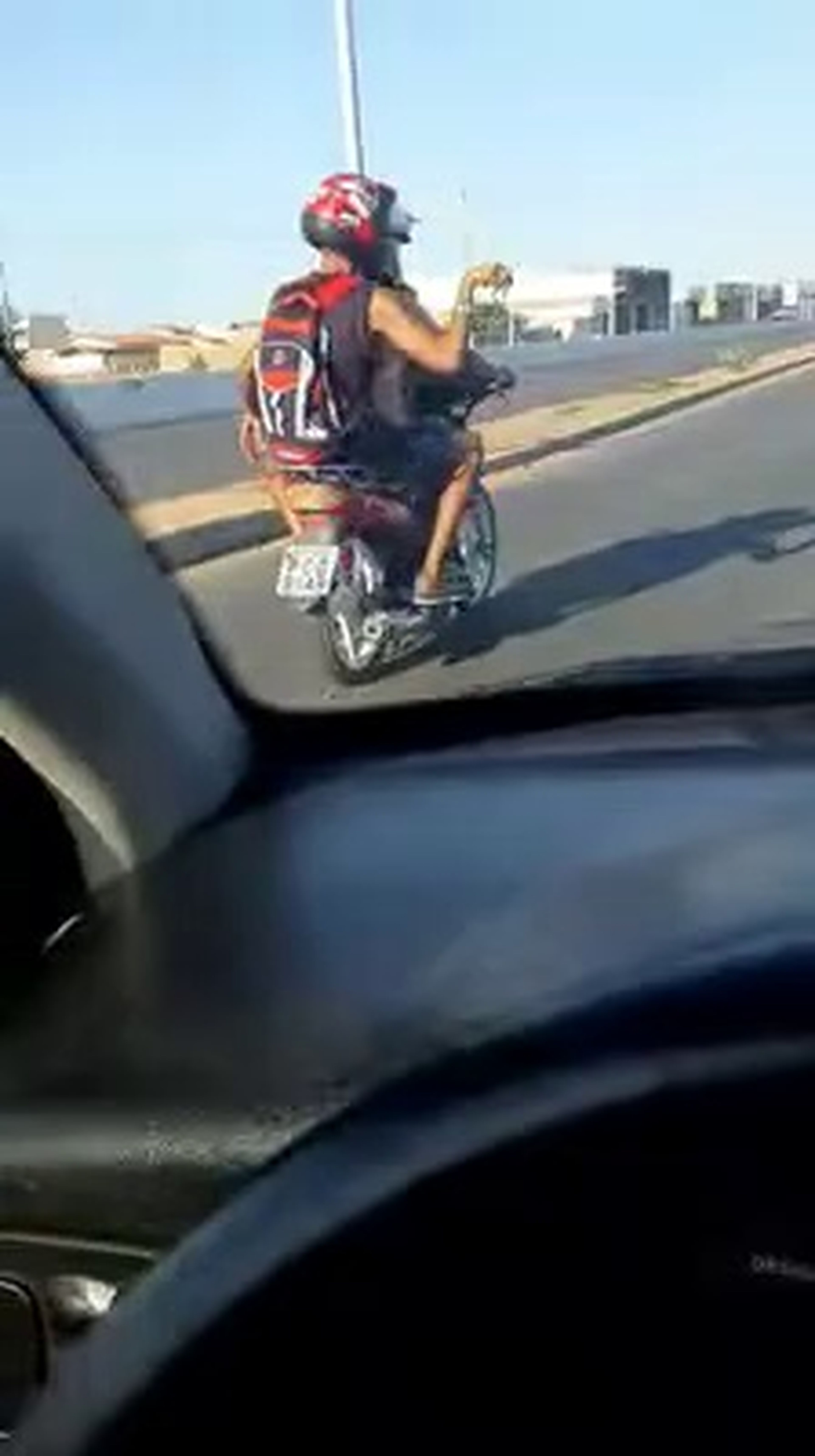 VÍDEO: Lo último que teníamos que ver, un perro conduciendo una moto...