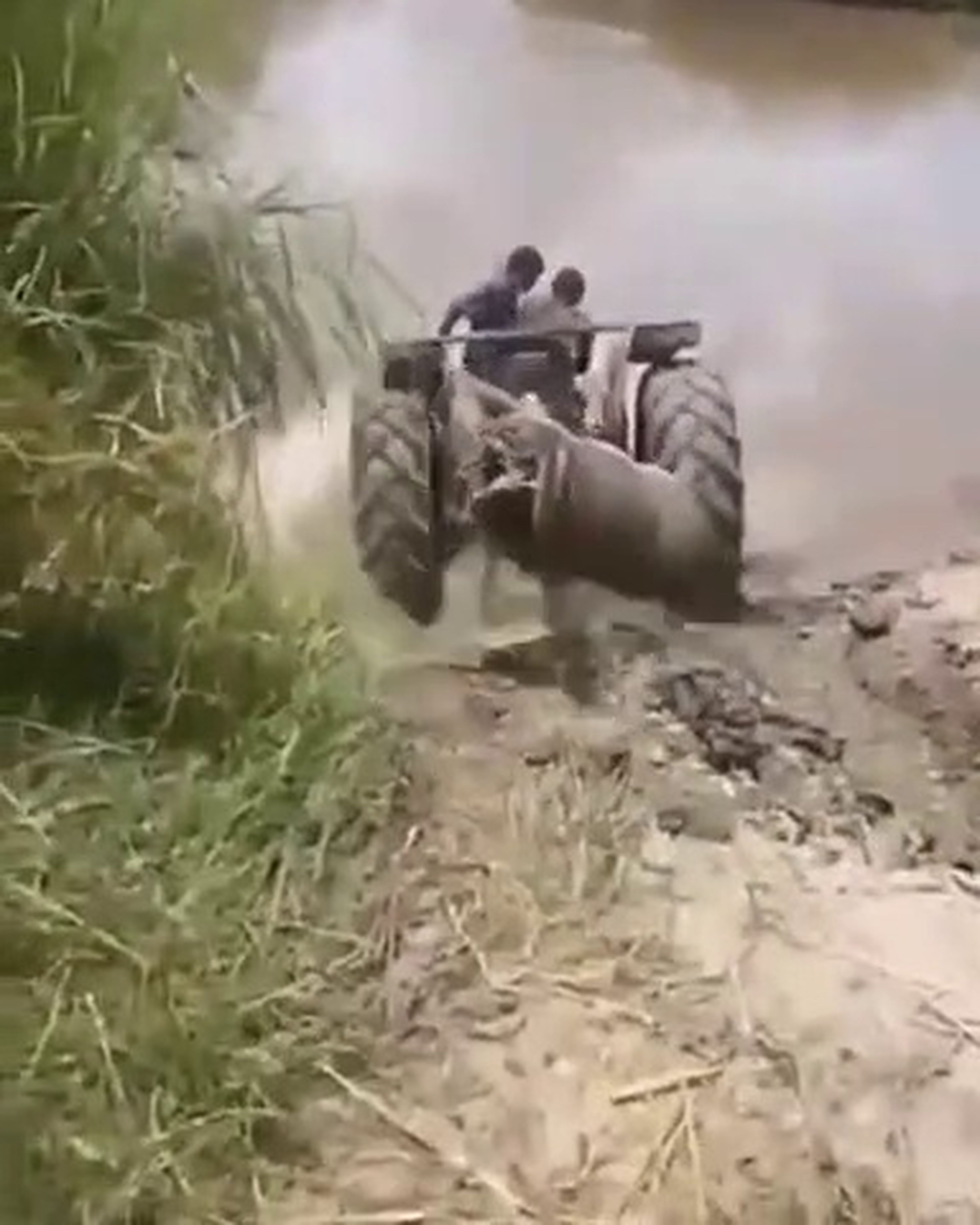 VÍDEO: Unos valientes cruzan un río en un tractor que ¡desaparece bajo el agua!