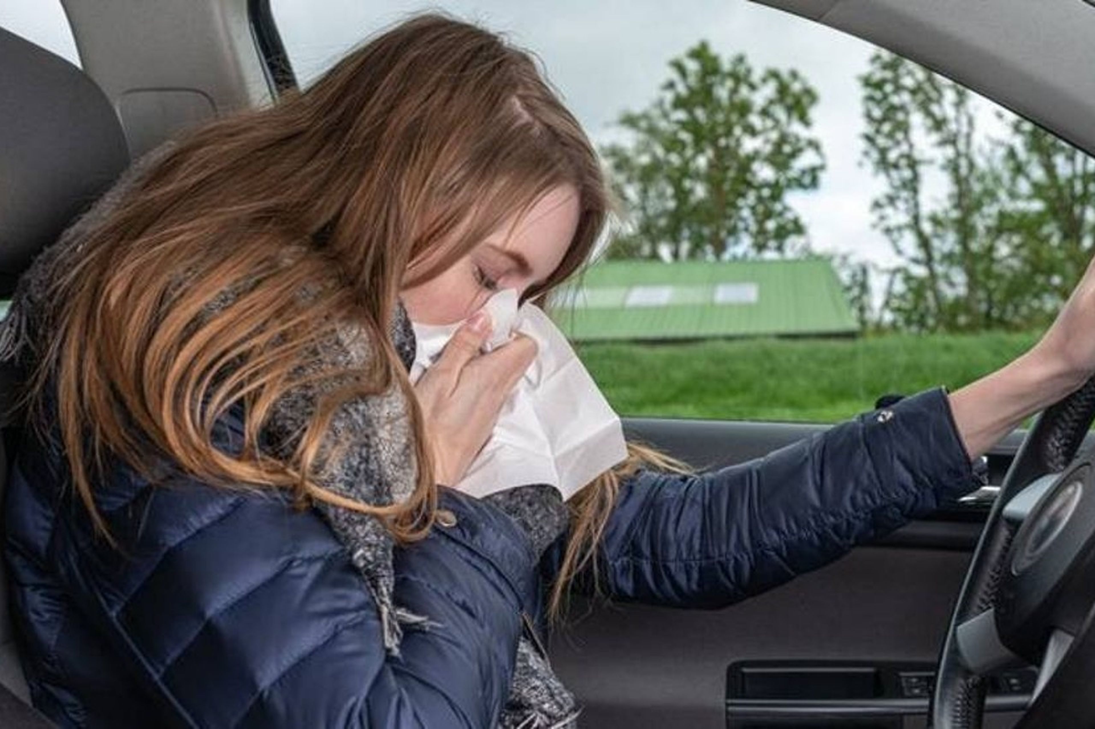 El mejor consejo de la DGT para conducir tu coche si tienes alergia