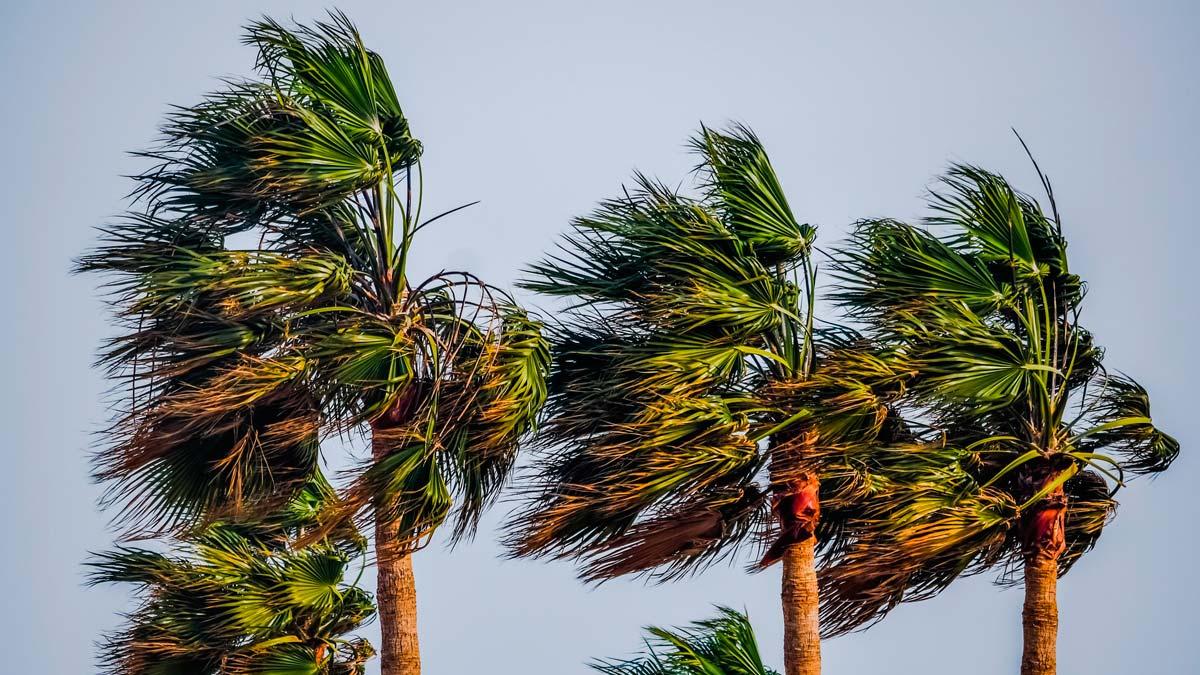 Así afecta el viento al volante ¡cómo conducir con viento fuerte! TopGear.es