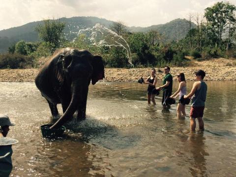 The water splashing in the air onto the elephant looks exactly like an elephant head. The water splashing in the air onto the elephant looks exactly like an elephant head.