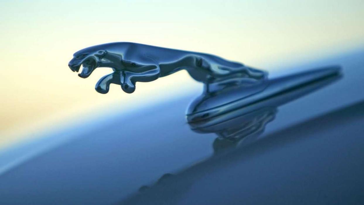 jaguar-emblema.jpg?itok=SYheKakg